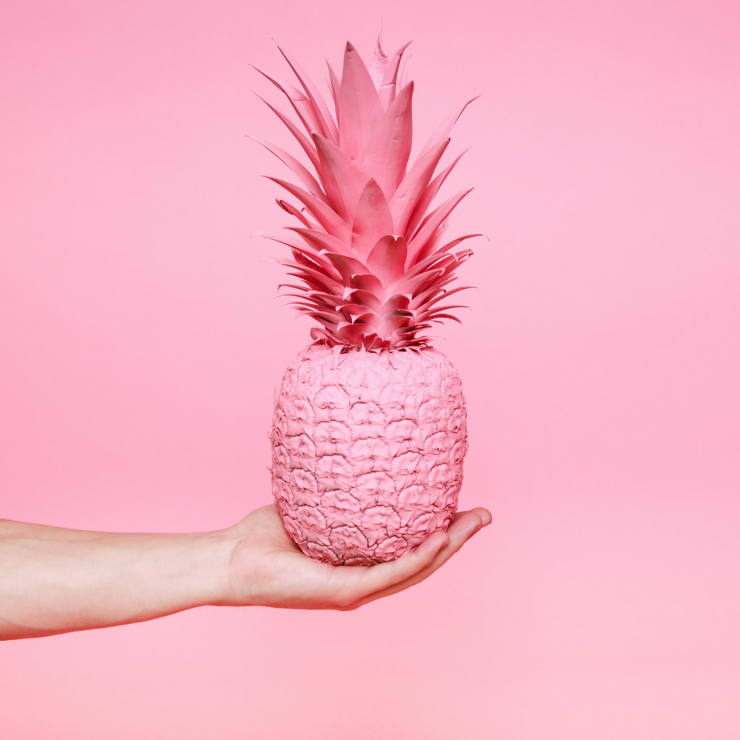 alex-gruber-9f55wJpnCwY-unsplash alex-gruber-9f55wJpnCwY-unsplash